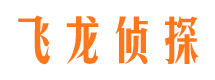 铜鼓侦探公司